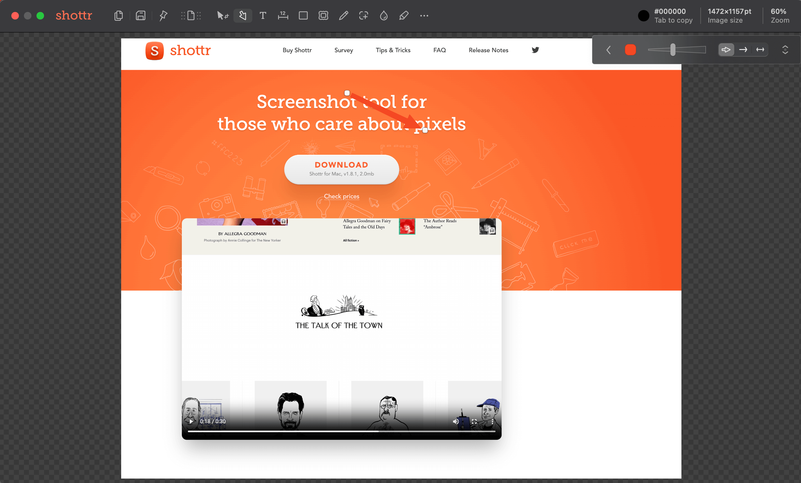 Shottr - Advanced Screenshot Tool user interface